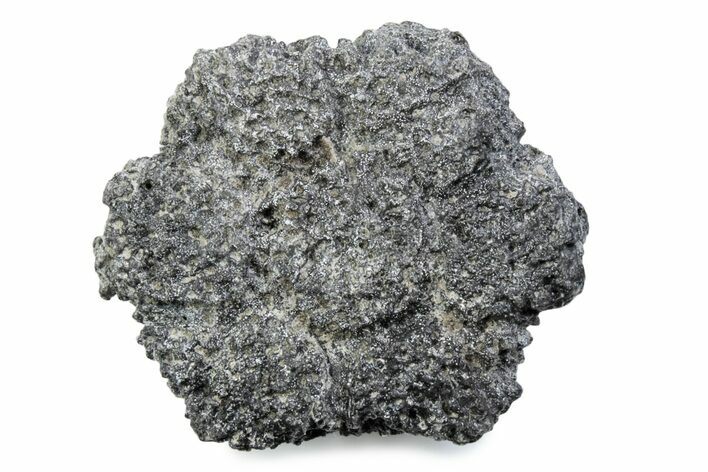 Fossil Glyptodont (Glyptotherium) Bony Armor Osteoderm - Florida #362297